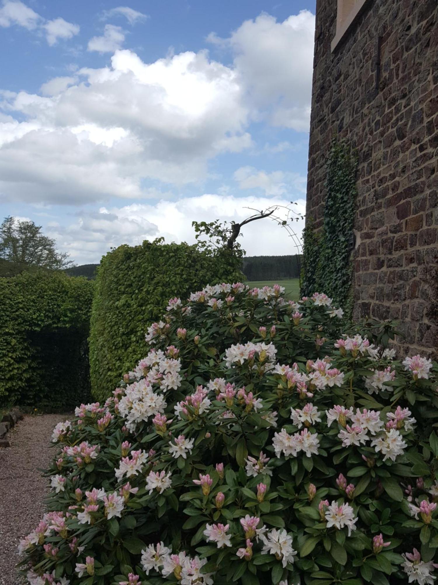 Die Alte Schule Haeuschen Villa St. Vith Camera foto