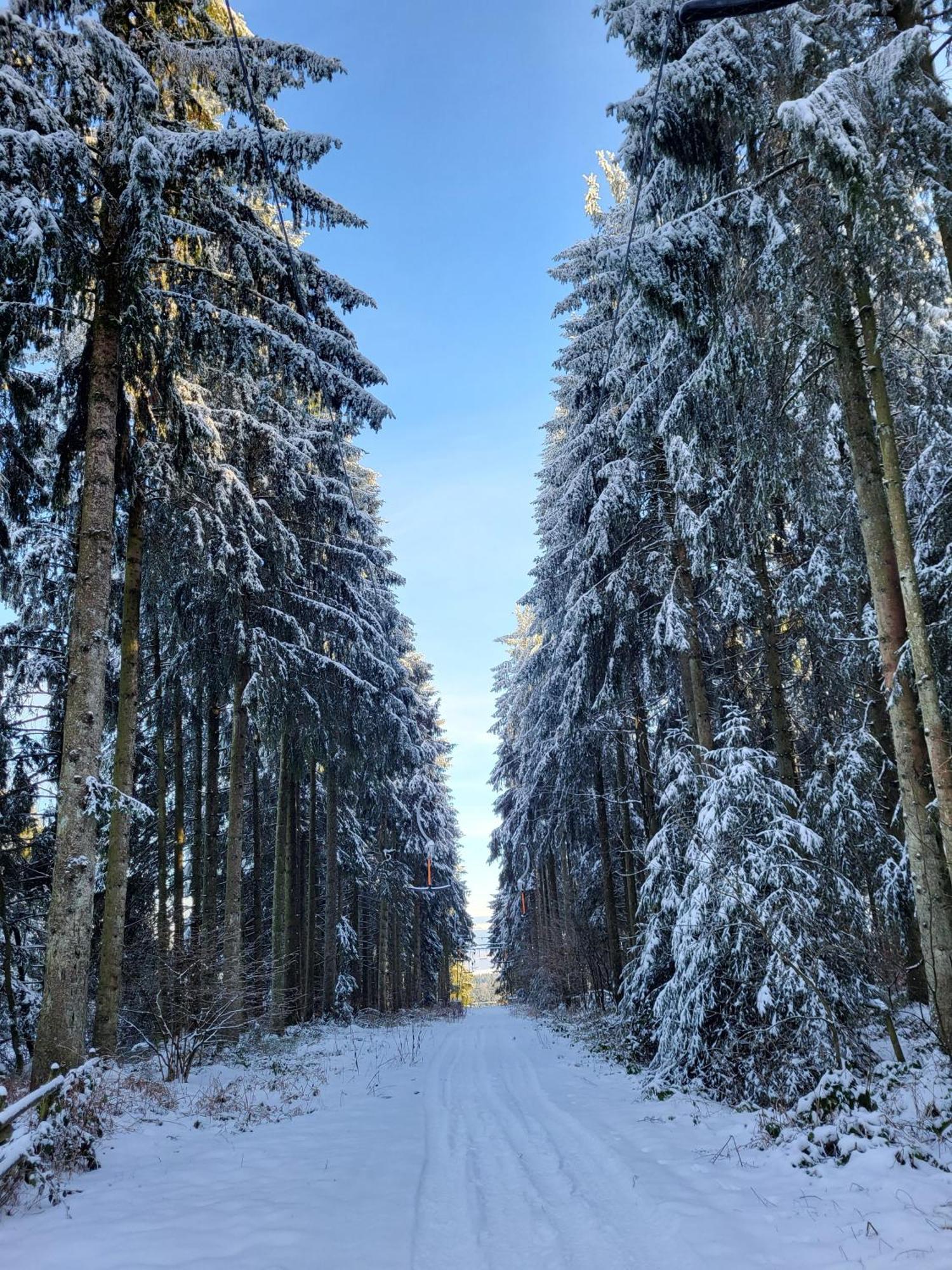 Die Alte Schule Haeuschen Villa St. Vith Esterno foto